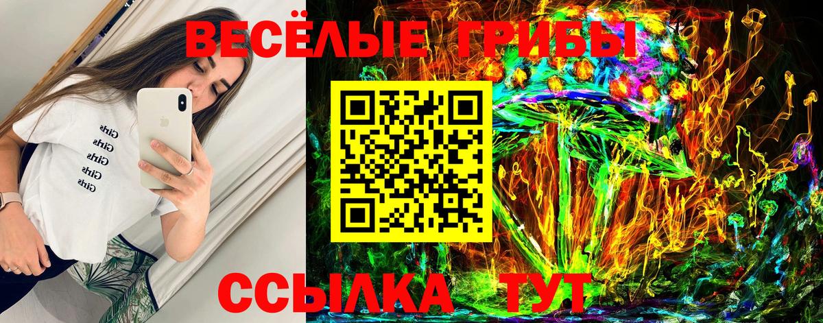 Псилоцибиновые грибы GOLDEN TEACHER  Вход с VPN  Прокопьевск 